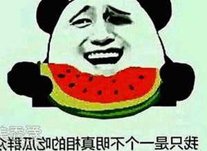 娱乐圈那些甜到齁的瓜：博君一肖甜蜜日常大揭秘