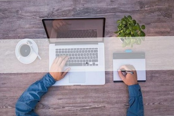 派大星与金发辣妹的激情对决：网络门事件背后的成人内容揭秘